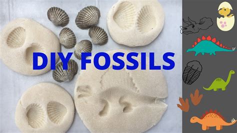 how long to make fossils.